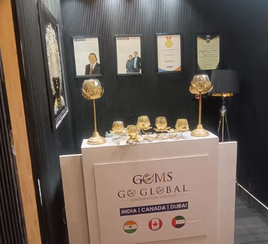 Dreaming Global? Visit GGIMS in Saket!